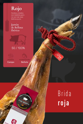 Paleta Ibérica de bellota 50% Raza Ibérica Brida Roja de Guijuelo (Salamanca)